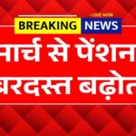 New Pension Scheme 7 March Update